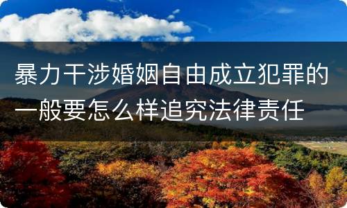 暴力干涉婚姻自由成立犯罪的一般要怎么样追究法律责任