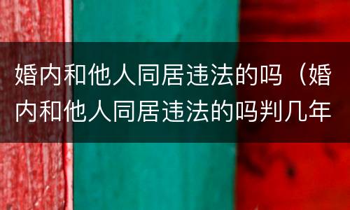 婚内和他人同居违法的吗（婚内和他人同居违法的吗判几年）