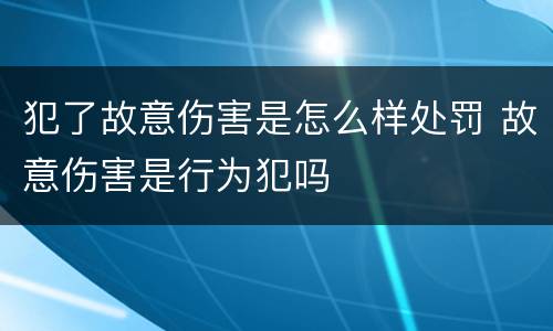 犯了故意伤害是怎么样处罚 故意伤害是行为犯吗