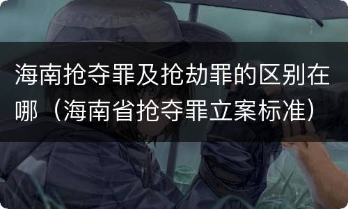 海南抢夺罪及抢劫罪的区别在哪（海南省抢夺罪立案标准）