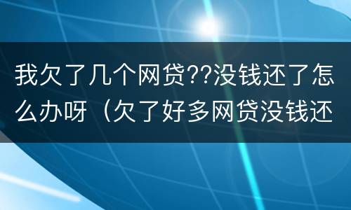 我欠了几个网贷??没钱还了怎么办呀（欠了好多网贷没钱还怎么办）