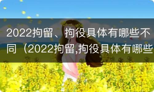 2022拘留、拘役具体有哪些不同（2022拘留,拘役具体有哪些不同之处）