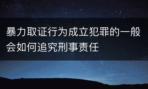 暴力取证行为成立犯罪的一般会如何追究刑事责任