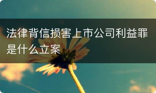 法律背信损害上市公司利益罪是什么立案