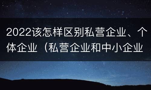 2022该怎样区别私营企业、个体企业（私营企业和中小企业）
