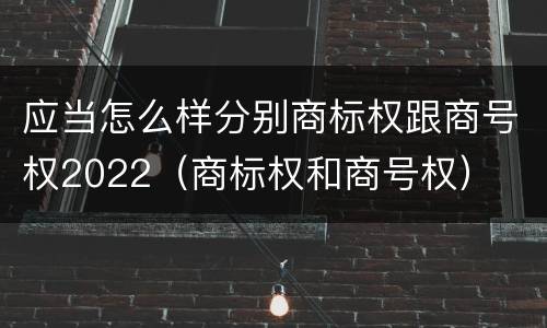 应当怎么样分别商标权跟商号权2022（商标权和商号权）