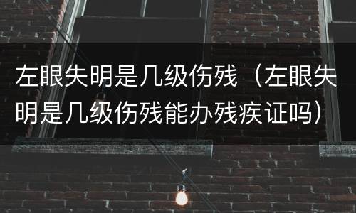 左眼失明是几级伤残（左眼失明是几级伤残能办残疾证吗）