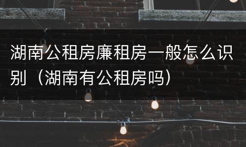 湖南公租房廉租房一般怎么识别（湖南有公租房吗）