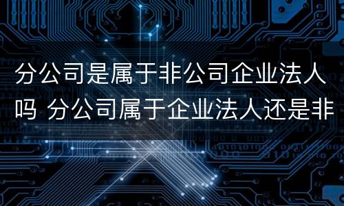 分公司是属于非公司企业法人吗 分公司属于企业法人还是非企业法人