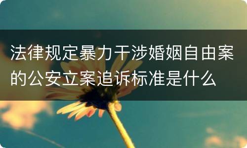 法律规定暴力干涉婚姻自由案的公安立案追诉标准是什么