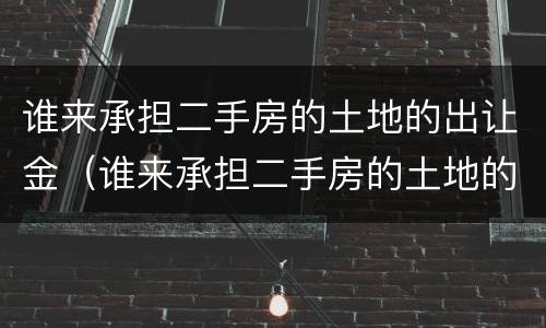 谁来承担二手房的土地的出让金（谁来承担二手房的土地的出让金和增值税）