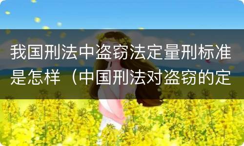 我国刑法中盗窃法定量刑标准是怎样（中国刑法对盗窃的定义）