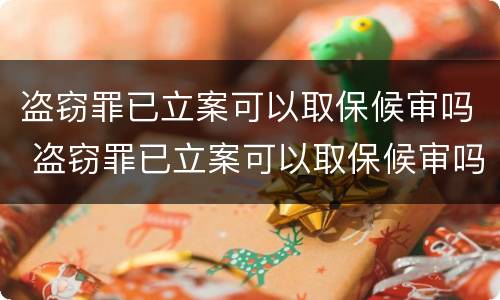 盗窃罪已立案可以取保候审吗 盗窃罪已立案可以取保候审吗