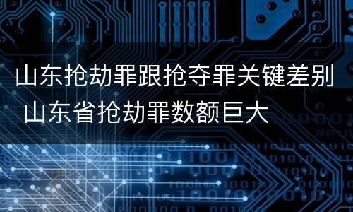 山东抢劫罪跟抢夺罪关键差别 山东省抢劫罪数额巨大
