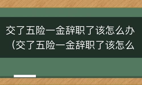 交了五险一金辞职了该怎么办（交了五险一金辞职了该怎么办理）