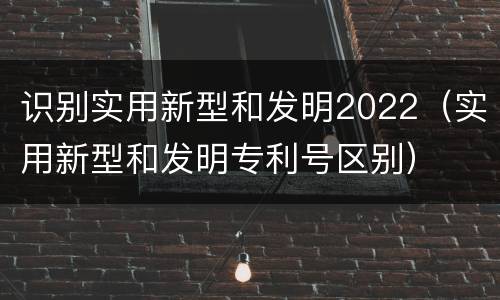 识别实用新型和发明2022（实用新型和发明专利号区别）