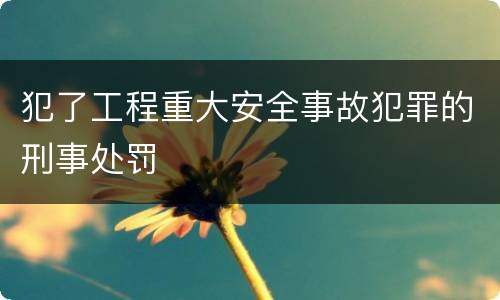 犯了工程重大安全事故犯罪的刑事处罚