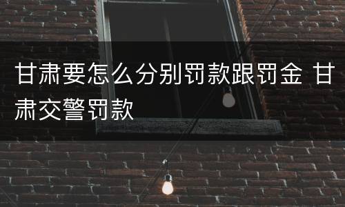甘肃要怎么分别罚款跟罚金 甘肃交警罚款