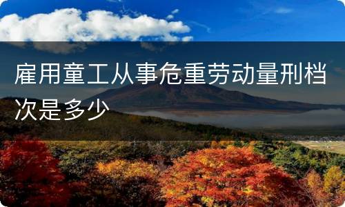 雇用童工从事危重劳动量刑档次是多少