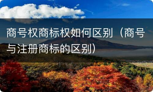 商号权商标权如何区别（商号与注册商标的区别）