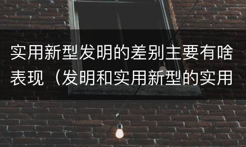 实用新型发明的差别主要有啥表现（发明和实用新型的实用性）