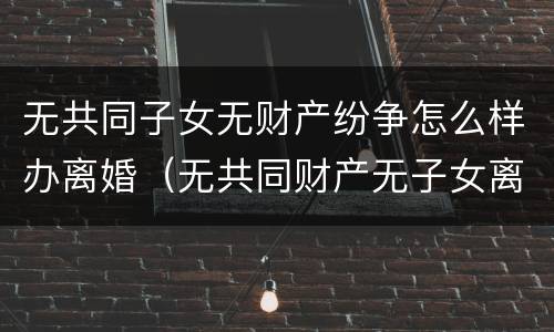 无共同子女无财产纷争怎么样办离婚（无共同财产无子女离婚起诉书怎么写）