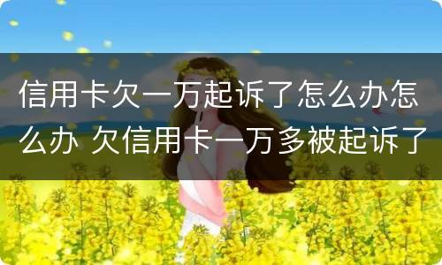 信用卡欠一万起诉了怎么办怎么办 欠信用卡一万多被起诉了最严重判什么