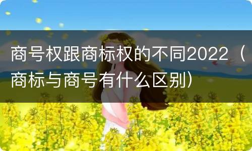 商号权跟商标权的不同2022（商标与商号有什么区别）