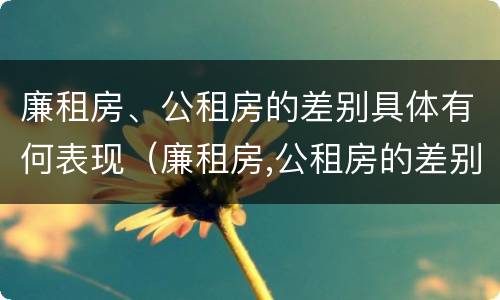 廉租房、公租房的差别具体有何表现（廉租房,公租房的差别具体有何表现和特点）