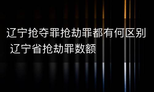 辽宁抢夺罪抢劫罪都有何区别 辽宁省抢劫罪数额
