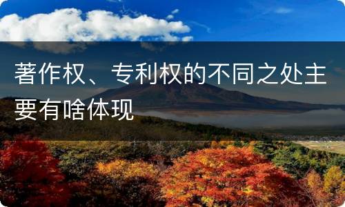 著作权、专利权的不同之处主要有啥体现