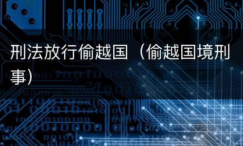 刑法放行偷越国（偷越国境刑事）