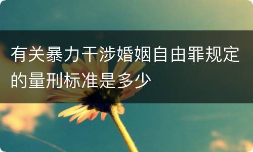 有关暴力干涉婚姻自由罪规定的量刑标准是多少