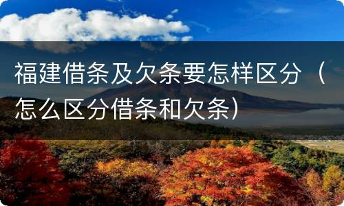 福建借条及欠条要怎样区分（怎么区分借条和欠条）