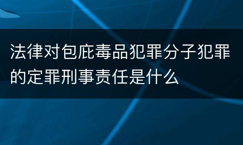 法律对包庇毒品犯罪分子犯罪的定罪刑事责任是什么