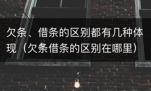 欠条、借条的区别都有几种体现（欠条借条的区别在哪里）
