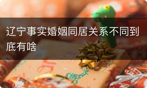 辽宁事实婚姻同居关系不同到底有啥