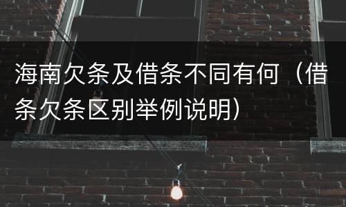 海南欠条及借条不同有何（借条欠条区别举例说明）