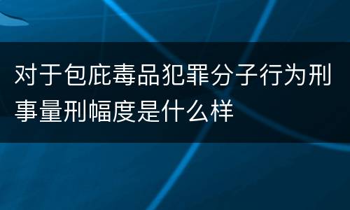 对于包庇毒品犯罪分子行为刑事量刑幅度是什么样