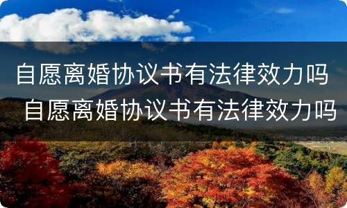 自愿离婚协议书有法律效力吗 自愿离婚协议书有法律效力吗怎么写