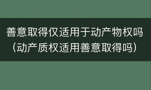 善意取得仅适用于动产物权吗（动产质权适用善意取得吗）