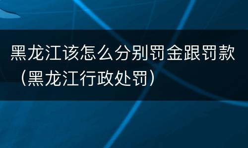 黑龙江该怎么分别罚金跟罚款（黑龙江行政处罚）