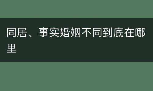 同居、事实婚姻不同到底在哪里