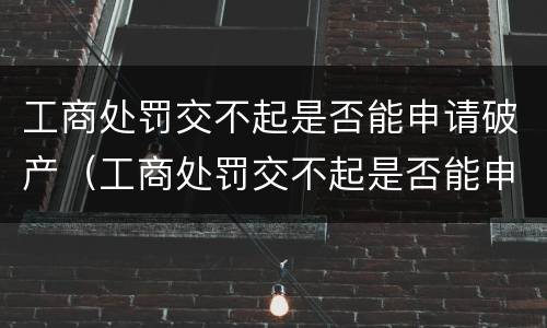 工商处罚交不起是否能申请破产（工商处罚交不起是否能申请破产清算）