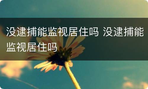 没逮捕能监视居住吗 没逮捕能监视居住吗