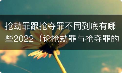 抢劫罪跟抢夺罪不同到底有哪些2022（论抢劫罪与抢夺罪的界限）