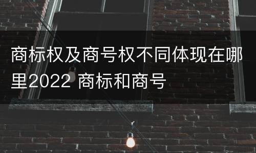 商标权及商号权不同体现在哪里2022 商标和商号