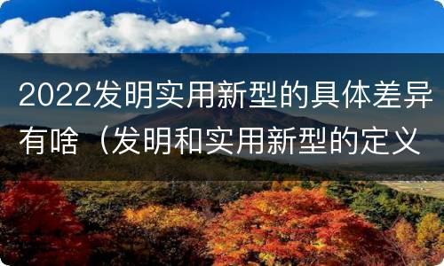 2022发明实用新型的具体差异有啥（发明和实用新型的定义）