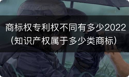 商标权专利权不同有多少2022（知识产权属于多少类商标）