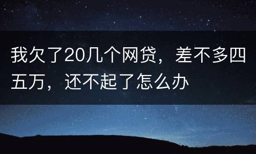 我欠了20几个网贷，差不多四五万，还不起了怎么办